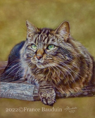 Griffin - 63 hours
Brown Pastelmat Board
15" x 12.5"
Ref: My own photo Griffin - 63 hours
Brown Pastelmat Board
15" x 12.5"
Ref: My own photo